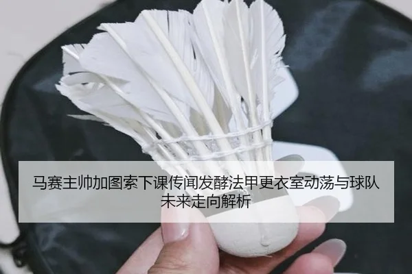 马赛主帅加图索下课传闻发酵法甲更衣室动荡与球队未来走向解析